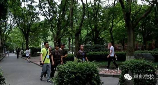 文案14